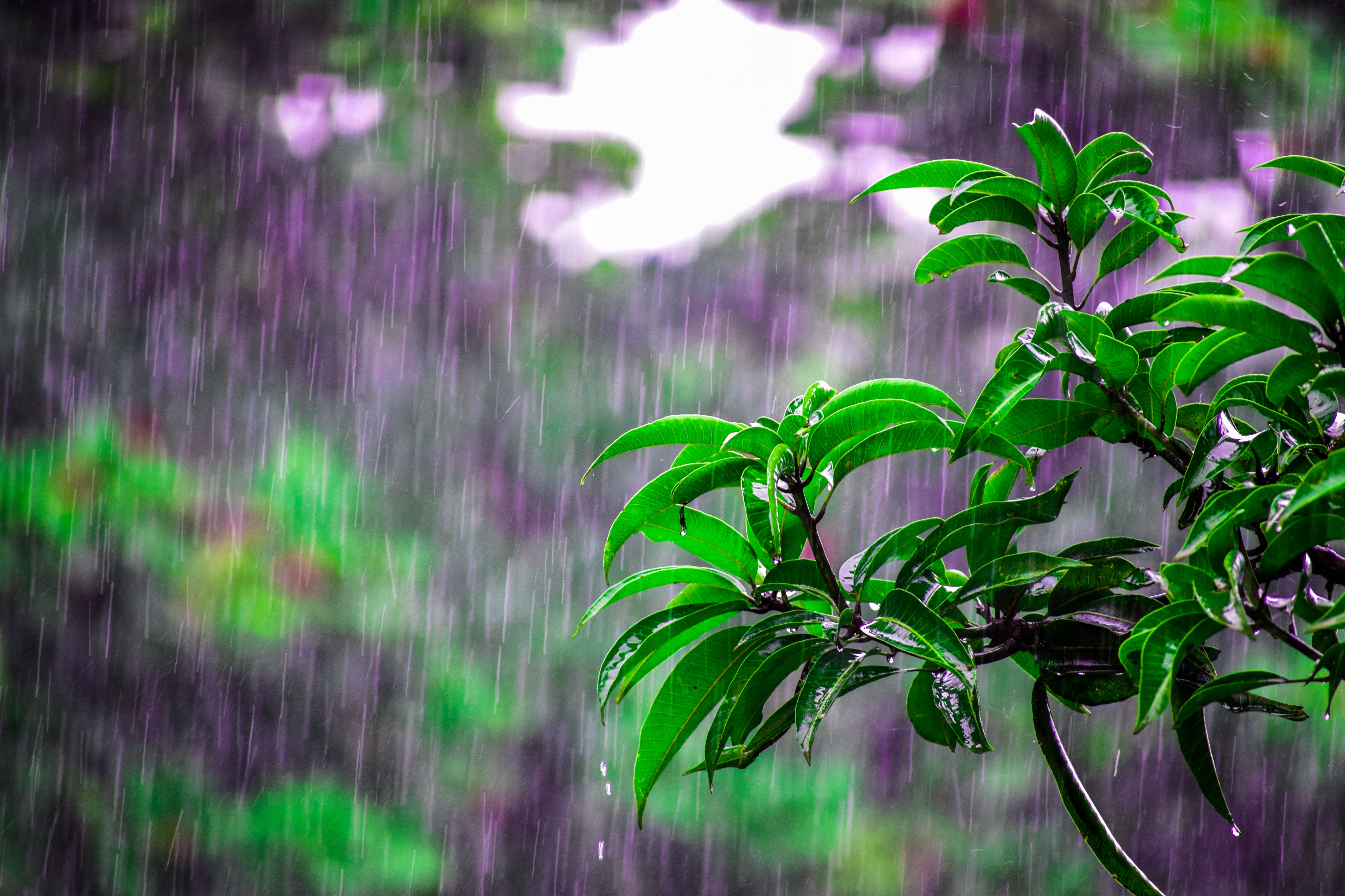 Heavy Rain Expected Across Coastal Regions This Weekend
